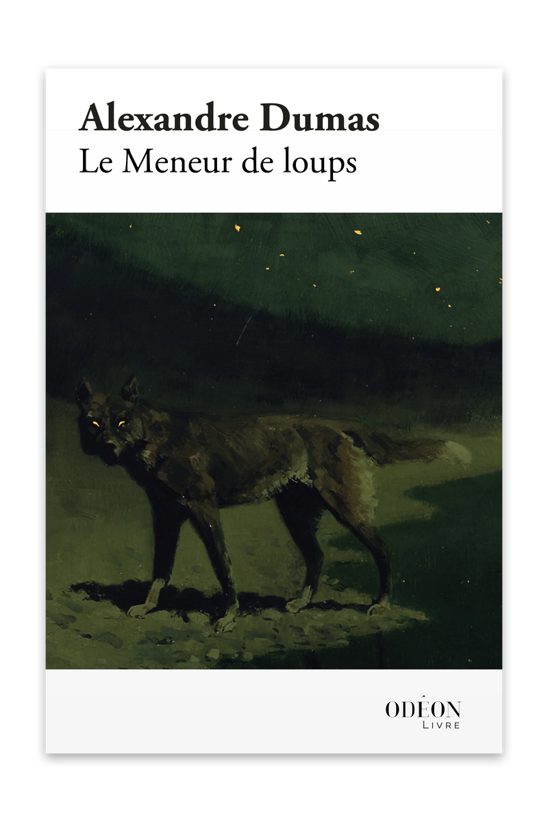 Front cover of Le Meneur de loups by Alexandre Dumas