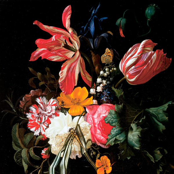 Cover image for La Tulipe noire